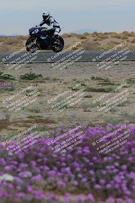 media/Jan-14-2023-SoCal Trackdays (Sat) [[497694156f]]/Turn 14 Exit Bloomig (145pm)/